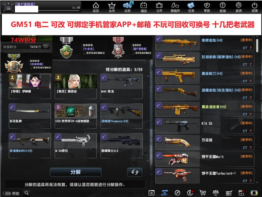 猫咪网络