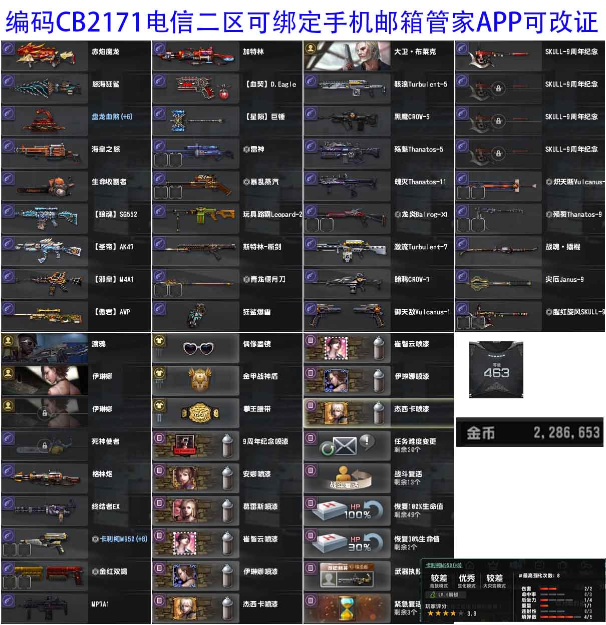 猫咪网络