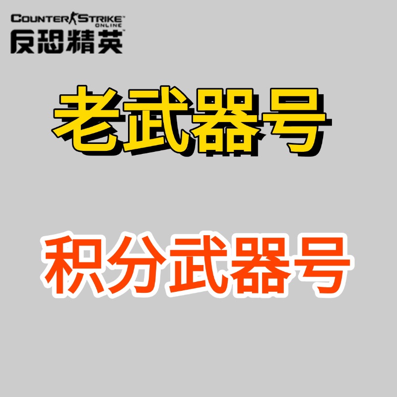 猫咪网络