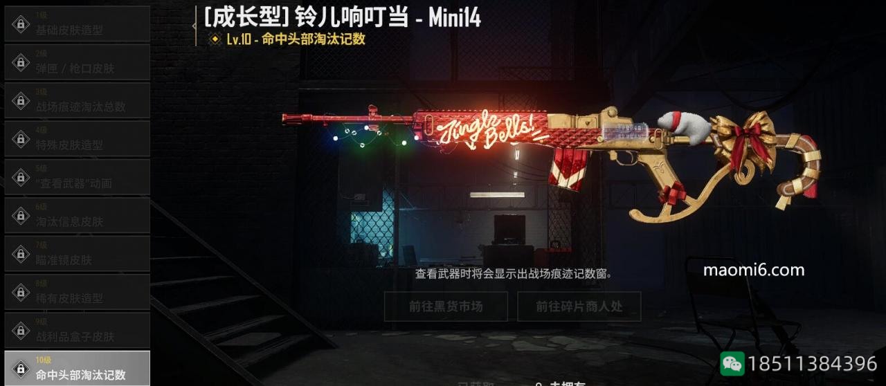 绝地求生PUBG成长型武器铃儿响叮当mini14等级不同有什么不一样？-猫咪网络