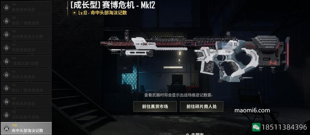 绝地求生PUBG成长型武器赛博危机Mk12等级不同有什么不一样？-猫咪网络